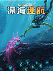 到哪里进货便宜